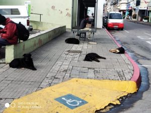 Foto del dia - 08-06-2020