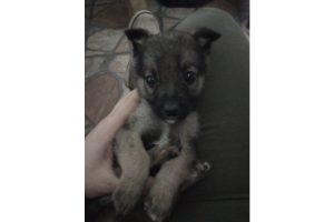 Foto del dia - 26-06-2020