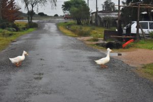 Foto del dia - 30-06-2020