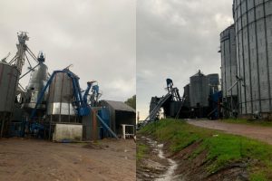 La zona arrocera fue afectada por el viento del 18 de junio