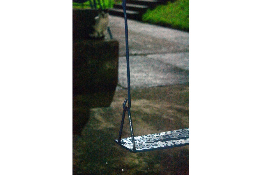 Foto del dia - 22-07-2020