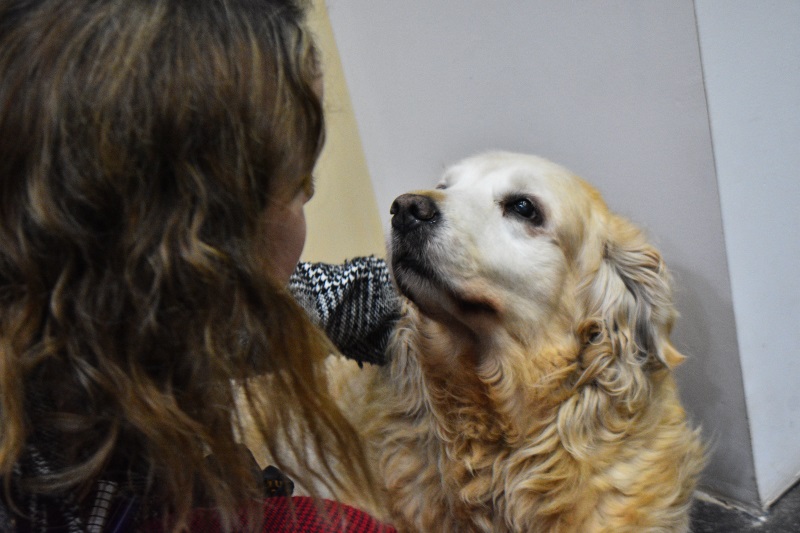 Foto del dia - 28-07-2020