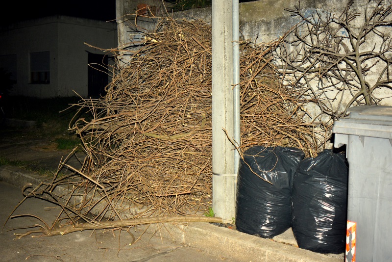 obra de malos ciudadanos 3