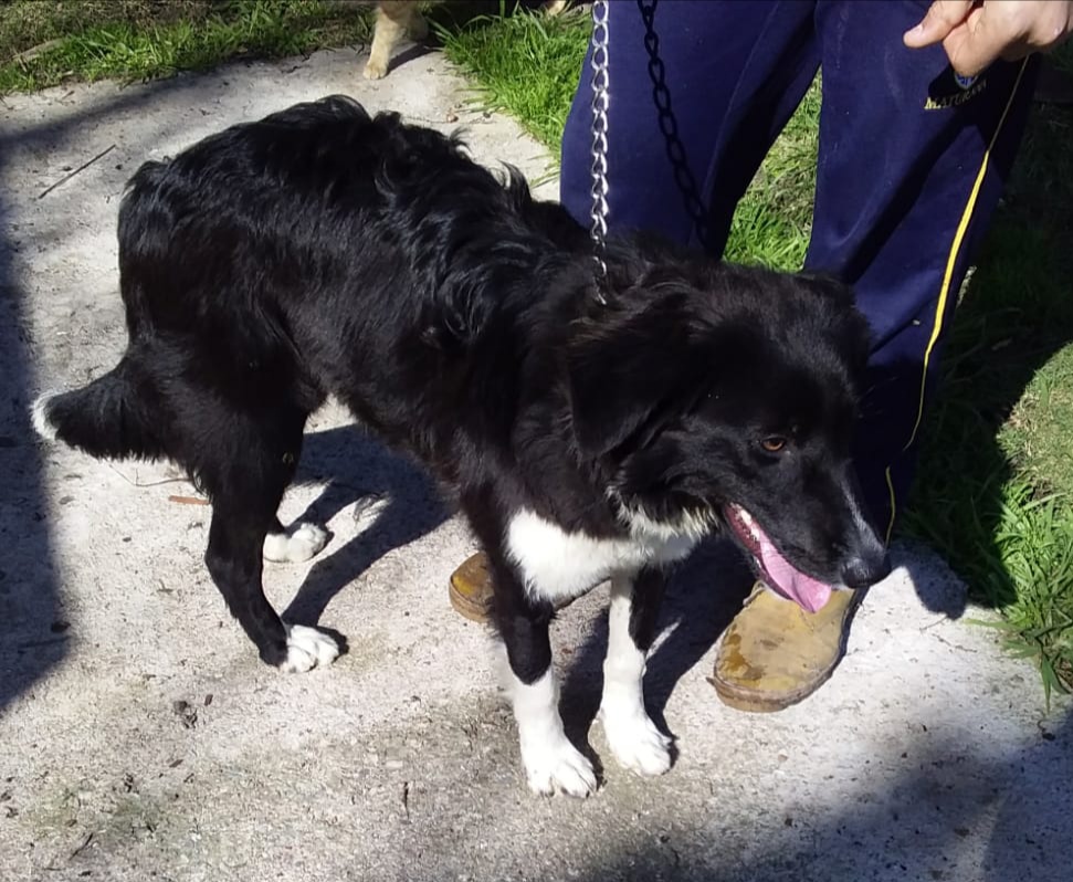 Foto del dia - 14-8-20