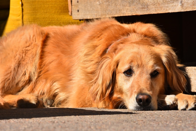 Foto del dia - 29-8-20