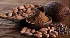 Cacao