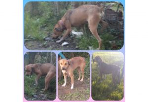 Foto del dia - 18-6-20