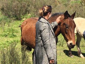 Foto del dia - 23-09-2020