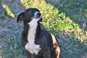 Foto del dia - 29-9-20