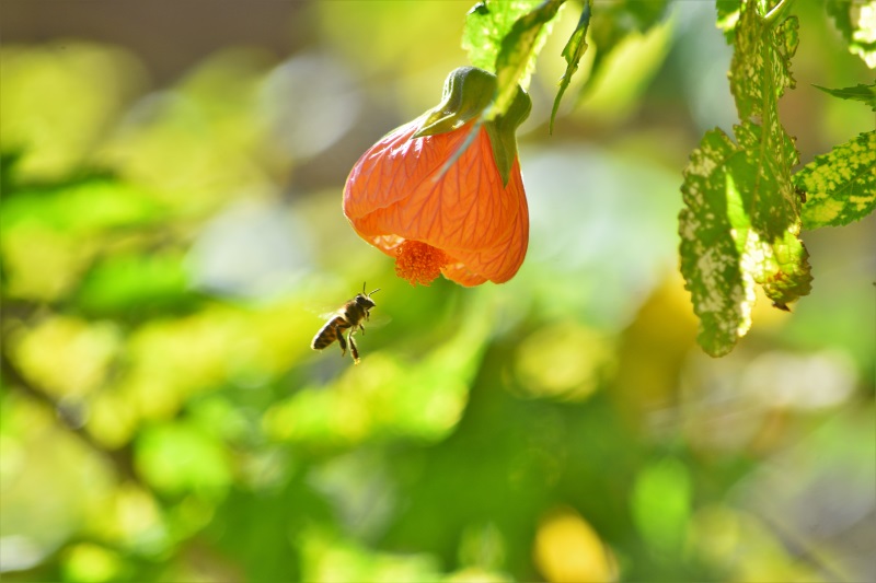 Foto del dia - 05-10-2020