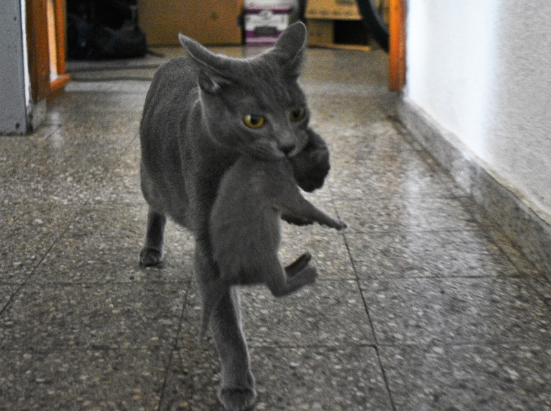 Foto del dia - 07-10-2020
