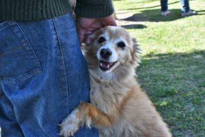 Foto del dia - 10-10-2020