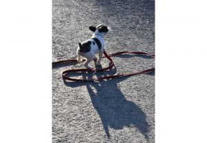 Foto del dia - 13-10-2020