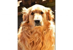 Foto del dia - 16-10-2020