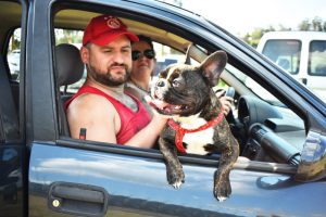 Foto del dia - 20-10-2020