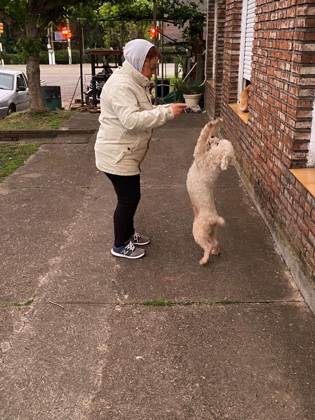 Foto del dia - 21-10-2020