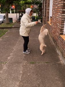 Foto del dia - 21-10-2020