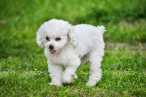 Foto del dia - 23-10-2020