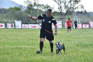 Foto del dia - 26-10-2020