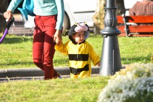 Foto del dia - 03-11-2020