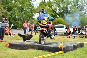 Foto del dia - 04-11-2020