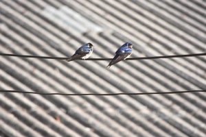 Foto del dia - 06-11-2020