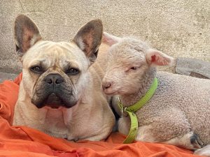 Foto del dia 09-11-2020