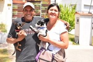 Foto del dia - 16-11-2020