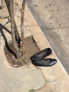 Foto del dia - 20-11-2020