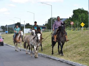 Foto del dia - 21-11-2020