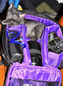 Foto del dia - 26-11-2020