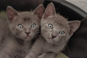 foto del dia 13-11-2020