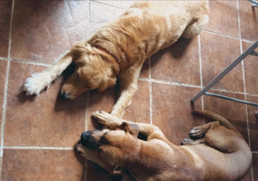 Foto del dia - 09-02-2021