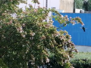 Foto del dia - 17-02-2021