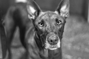 Foto del dia - 25-02-2021