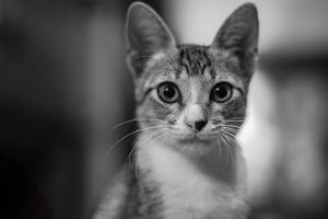 Foto del dia - 26-02-2021