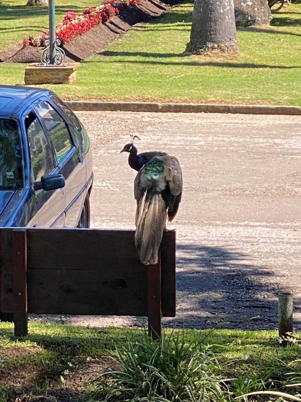 Foto del dia - 27-02-2021