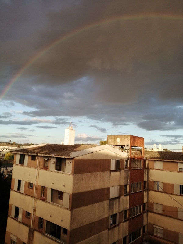 Foto del dia - 05-04-2020