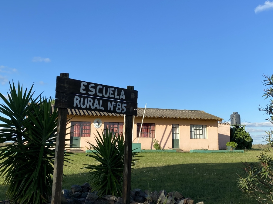 Foto del dia - 19-04-2020