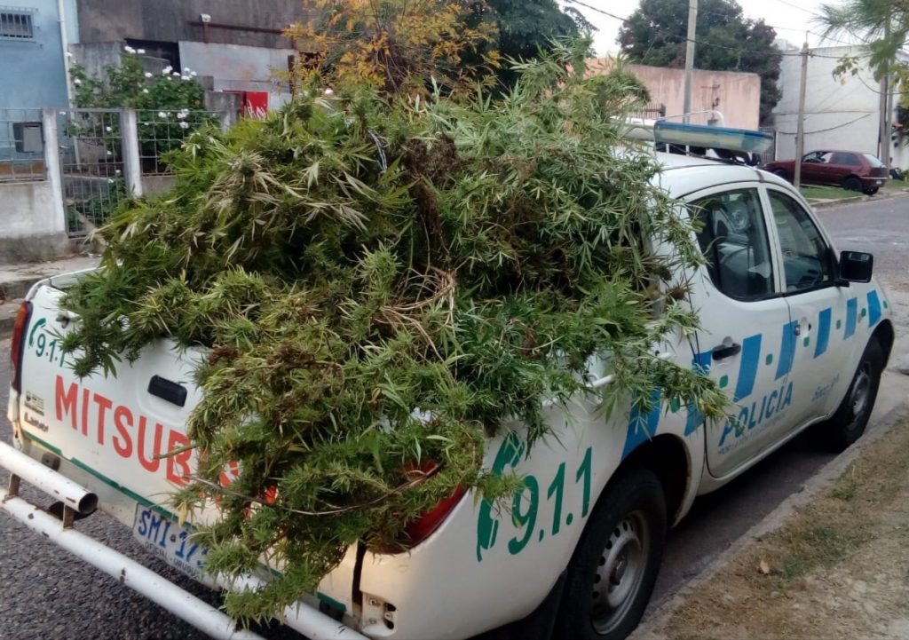 incautacion de plantas sobre movil segun comunicado 89