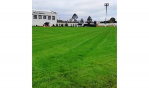 Así luce actualmente el piso del Estadio Juan Antonio Lavalleja. Bien empastado y con un verde que ilusiona