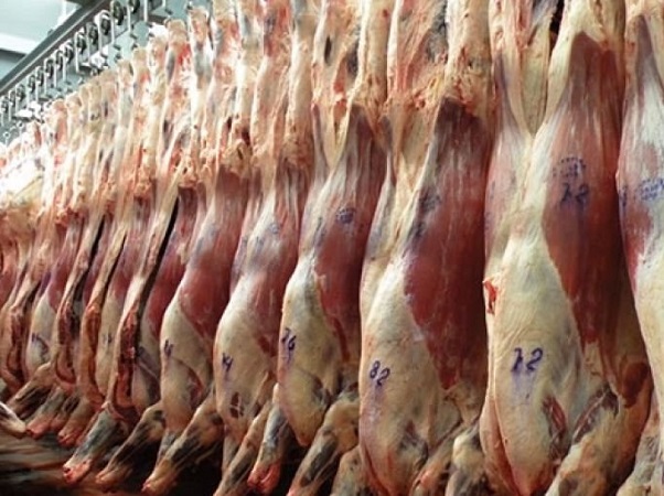 carne