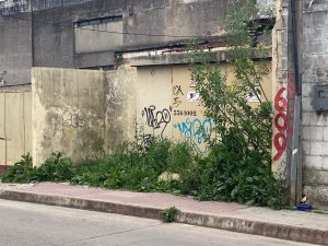 Roosevelt entre Rodó y De la Llana. Nos preguntamos si los que toman decisiones en el departamento no ven estas cosas