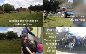 Tapa Villa del Rosario UTU