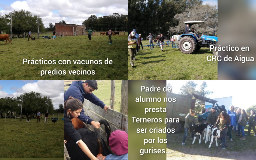 Tapa Villa del Rosario UTU