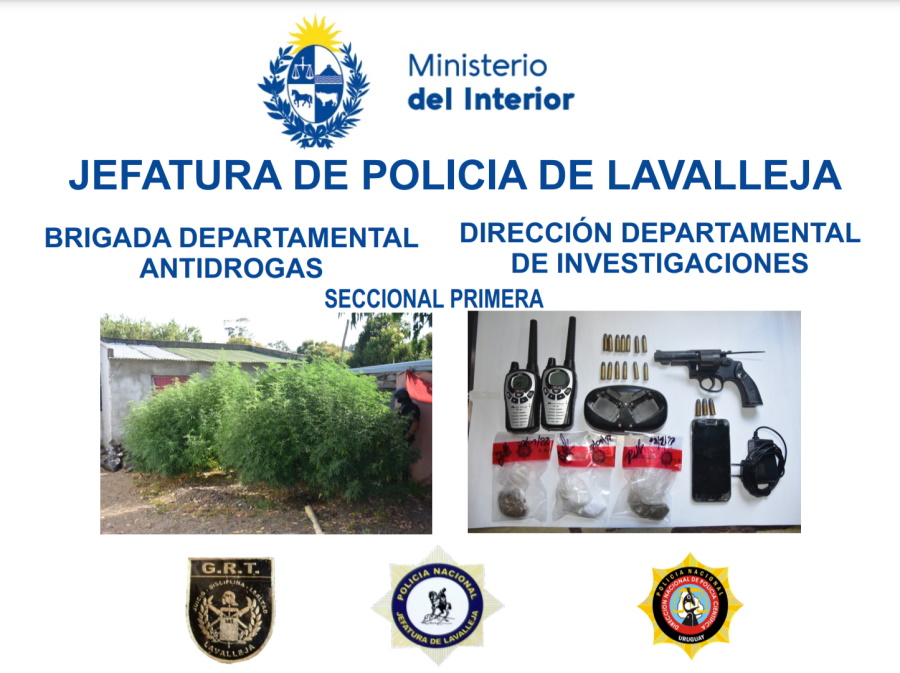 policiales