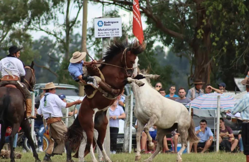 Festival de Verano de la Agrupación Criolla Santiago Chalar 4