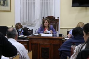 Adriana Peña, edila del PN y presidenta de la JDL
