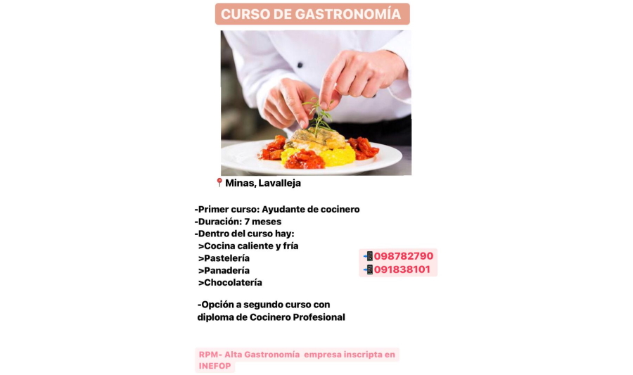 curso de gastronomia