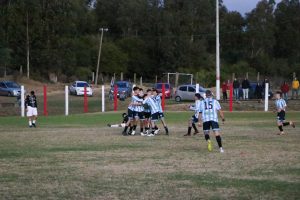 Juveniles definición